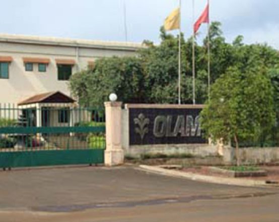 Công ty Olam Việt Nam